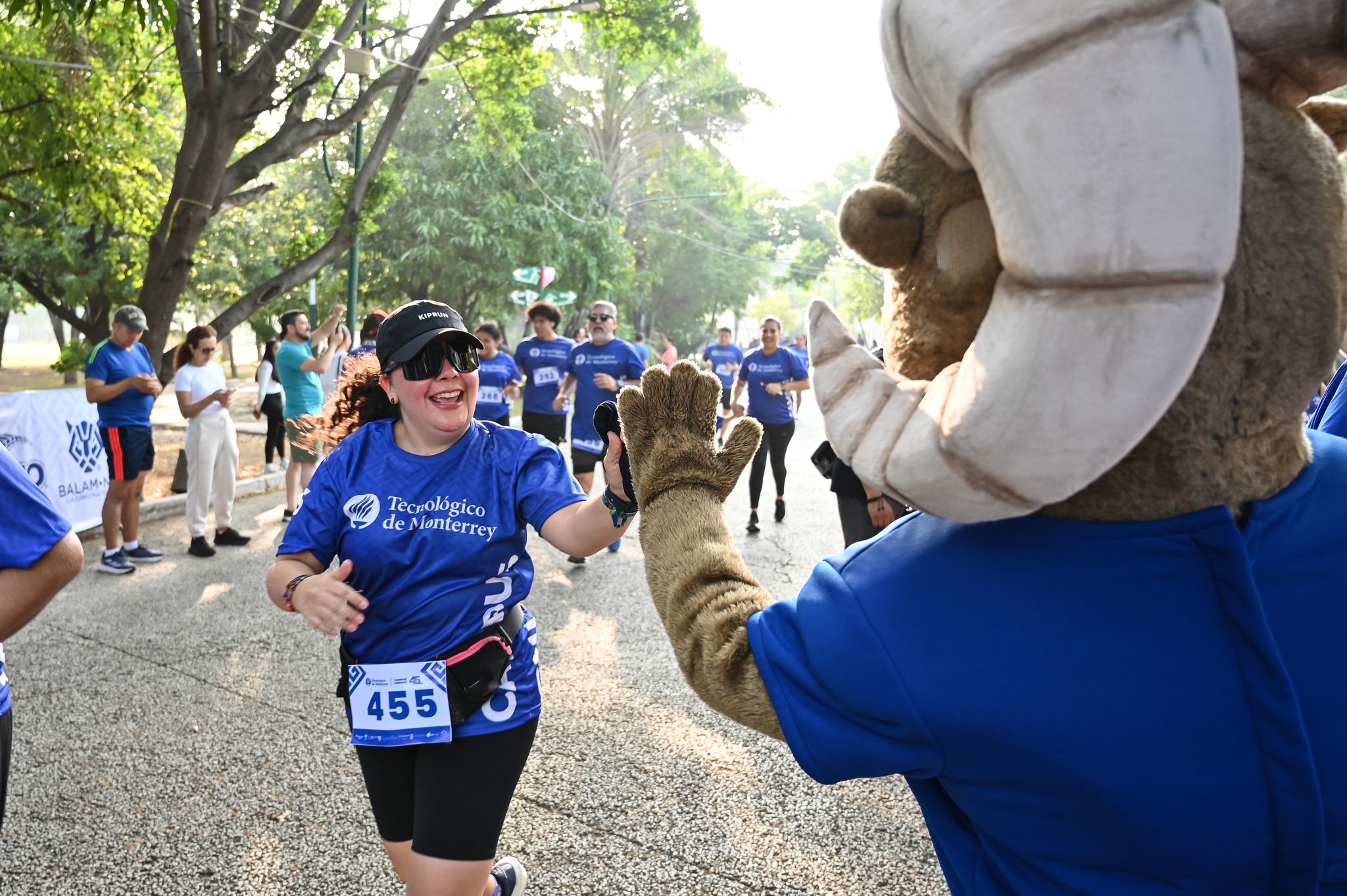 Imagen Carrera Comision